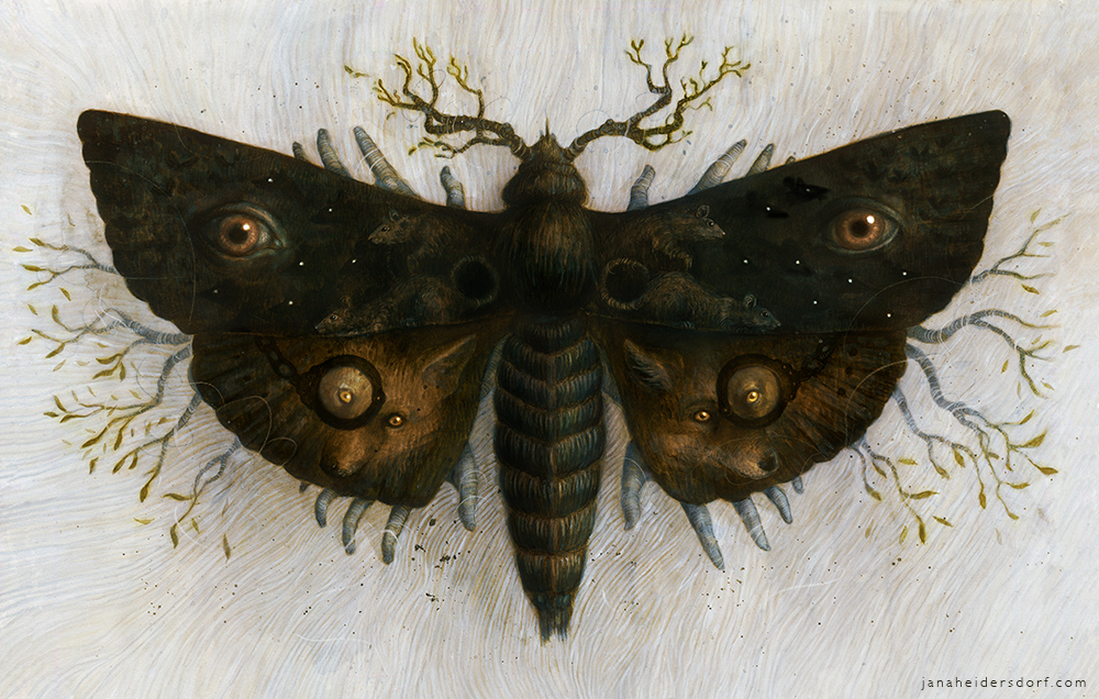 MothCover_web