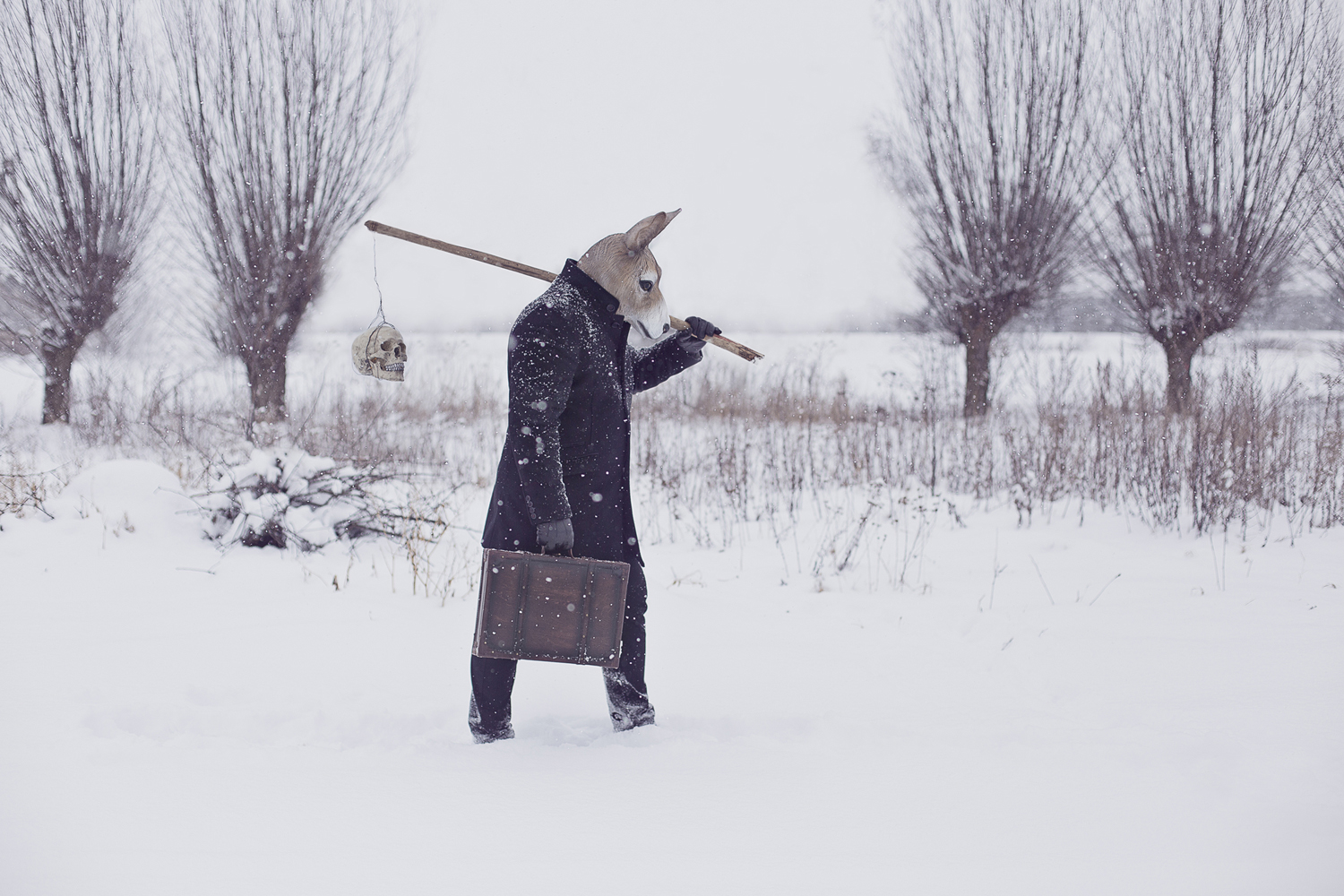 The Wanderer 2017 Katarzyna Marcin Owczarek