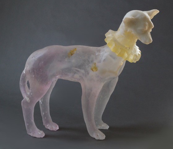 Dog-with-Moths