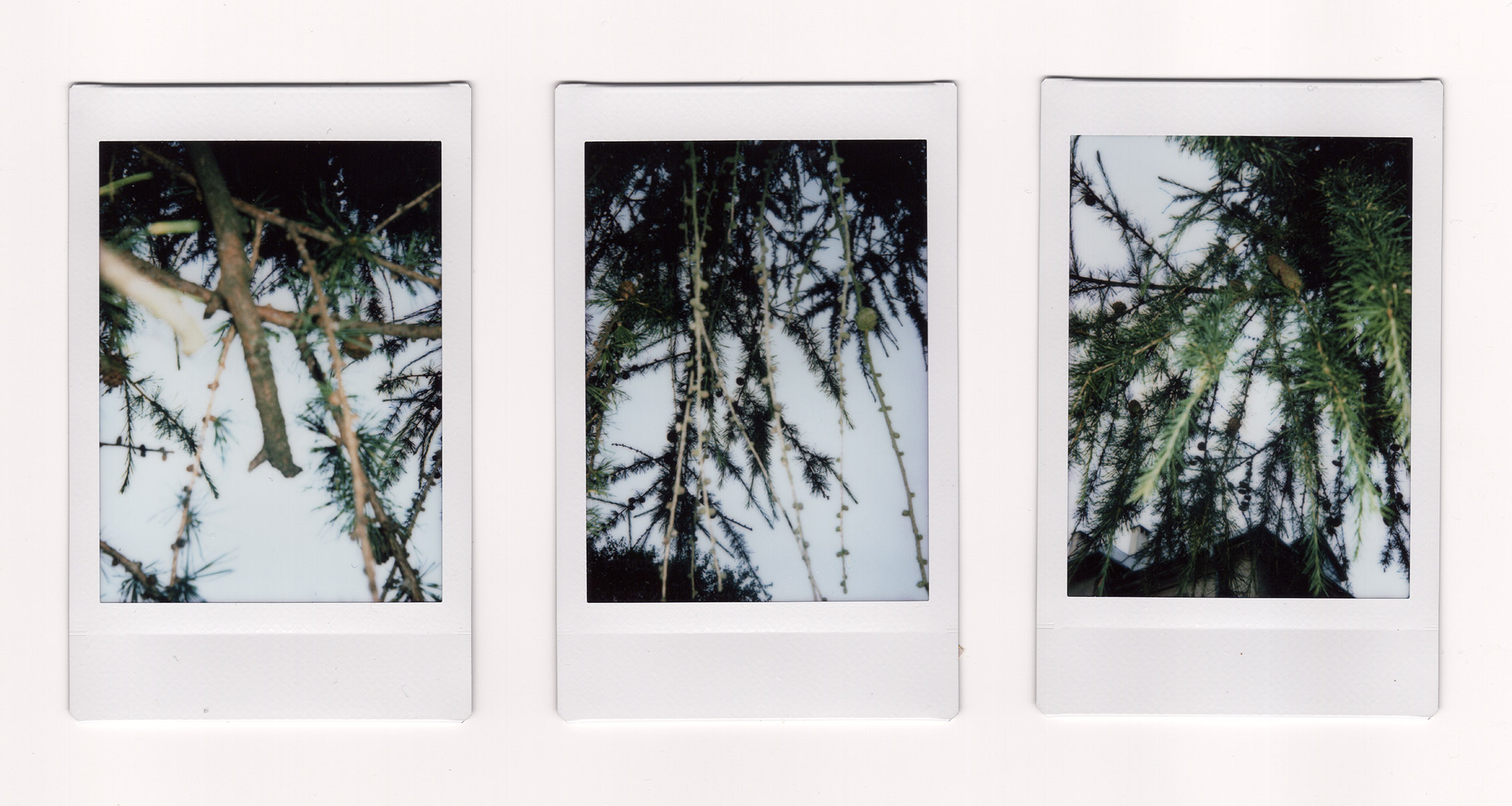 From the Project “Memory Landscapes”, 2023-2024