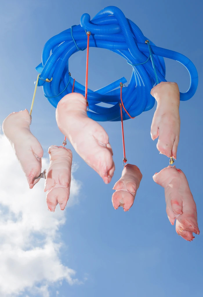 iZiNqFELtjcnHq1ErDwjWABAjE.jpg копия