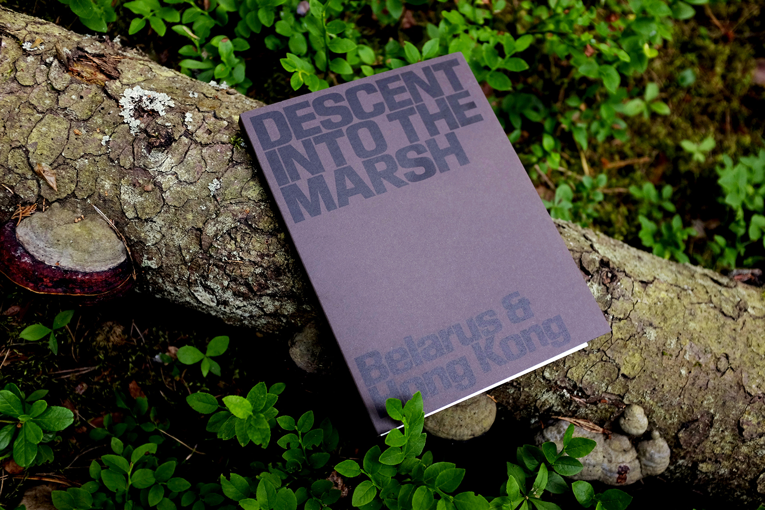 Lesia Pcholka’s photobook Descent into the Marsh shortlisted for the Henri Cartier-Bresson Foundation Prize