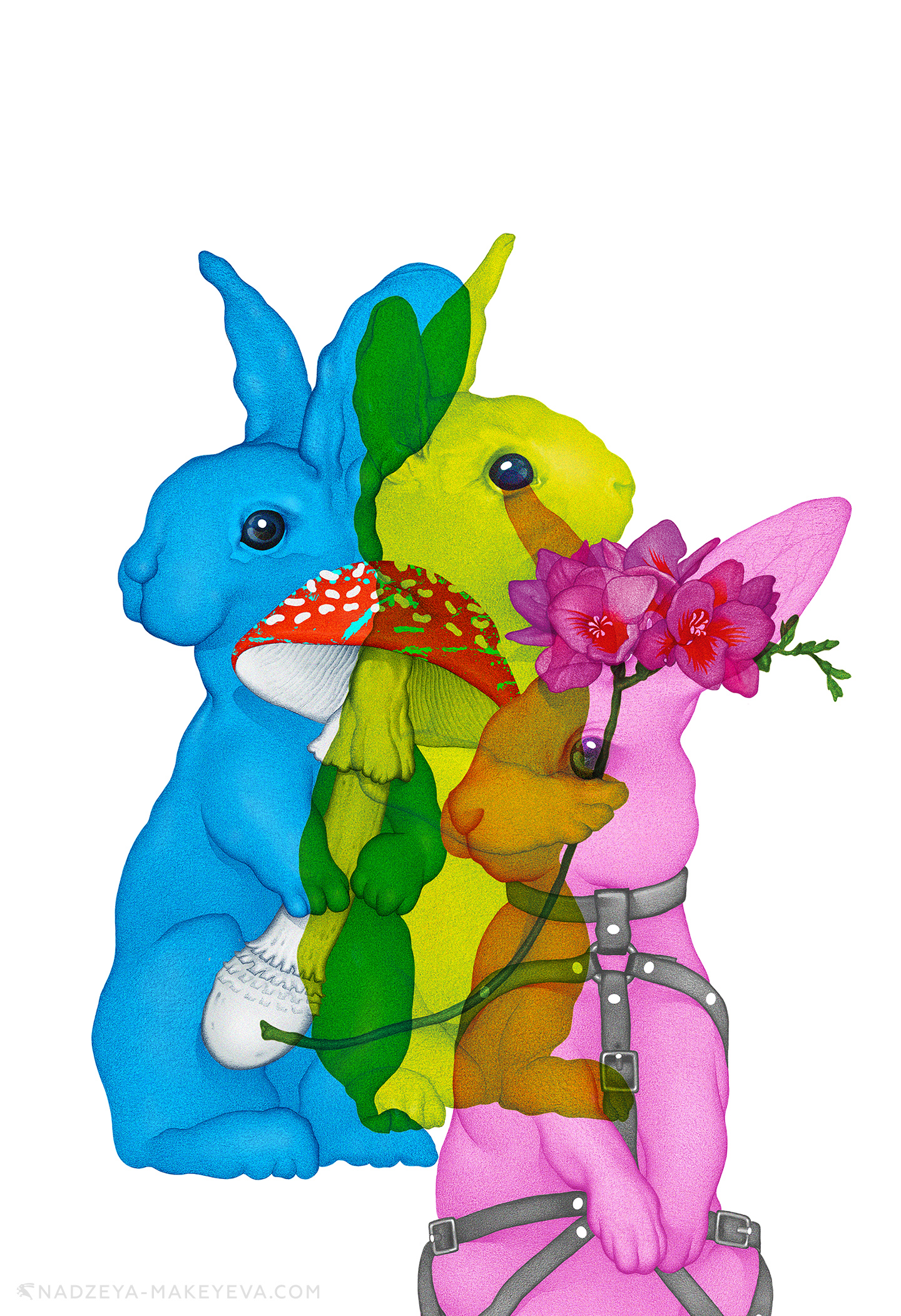 NEW_RABBITS_-900 copy