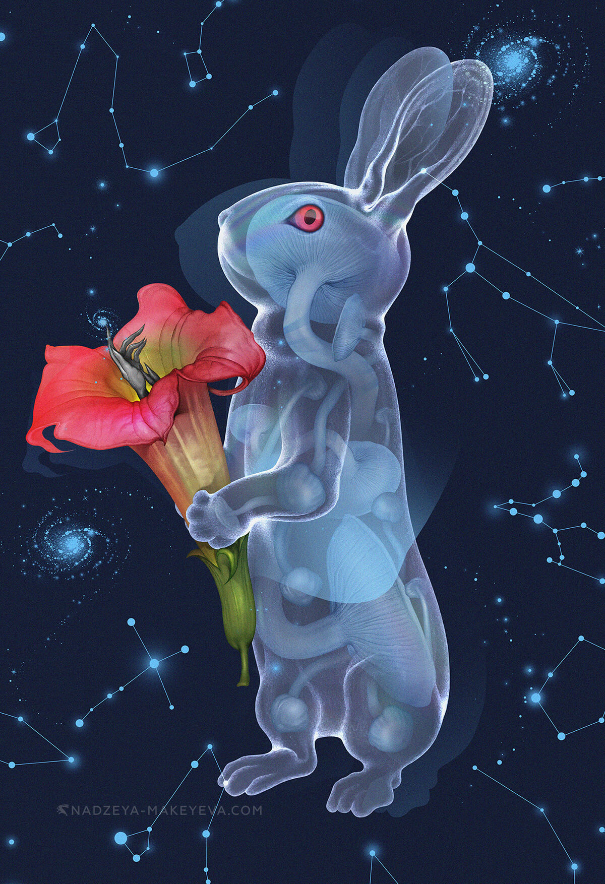 The_Constellation_Setter_(1)