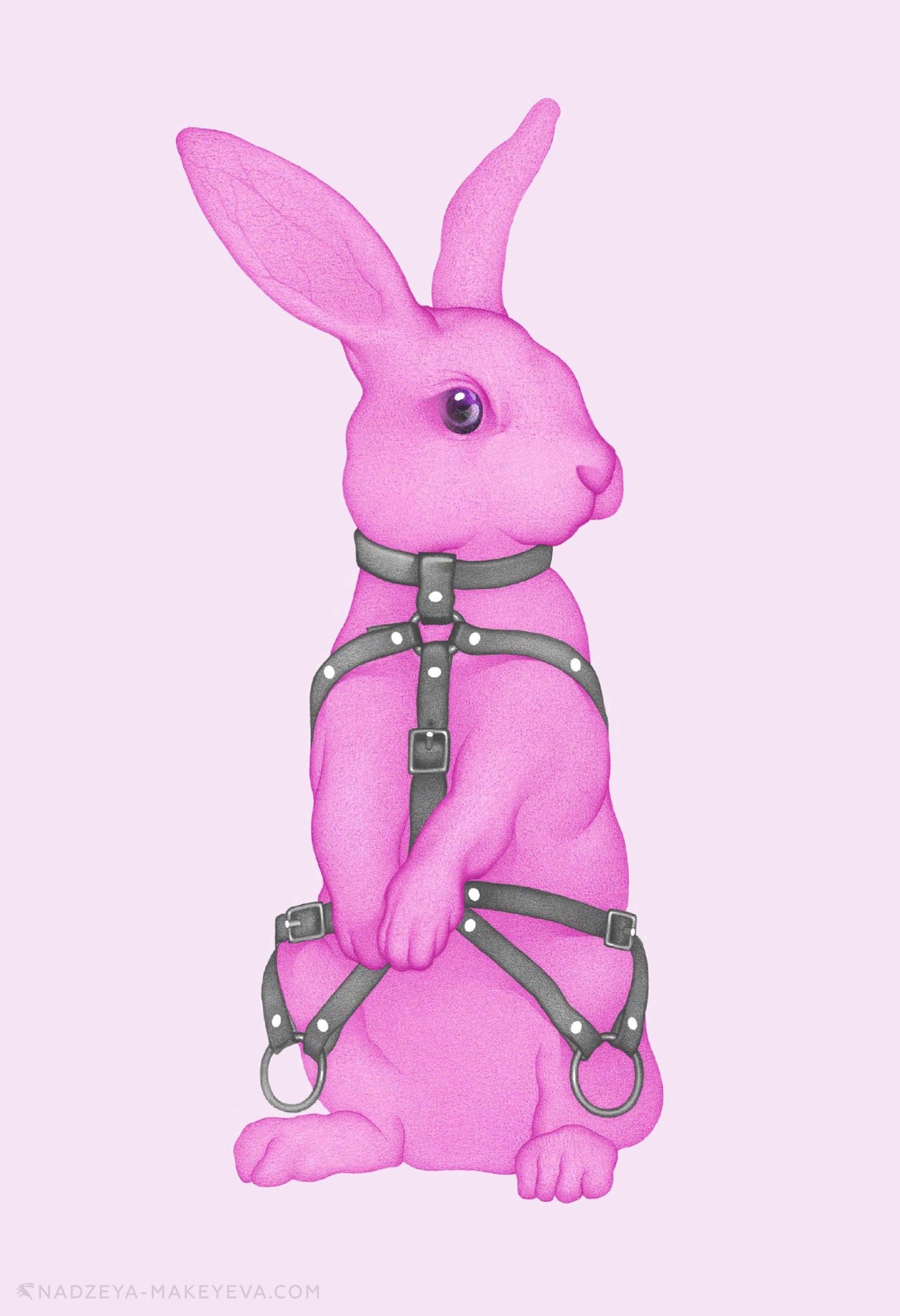hares-34